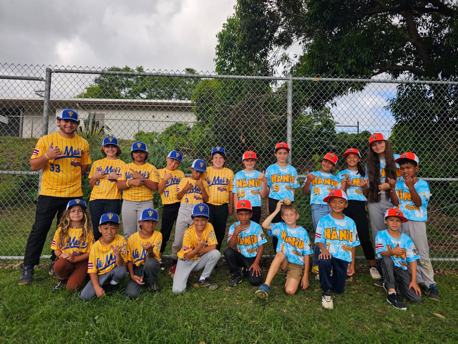 Baseball program