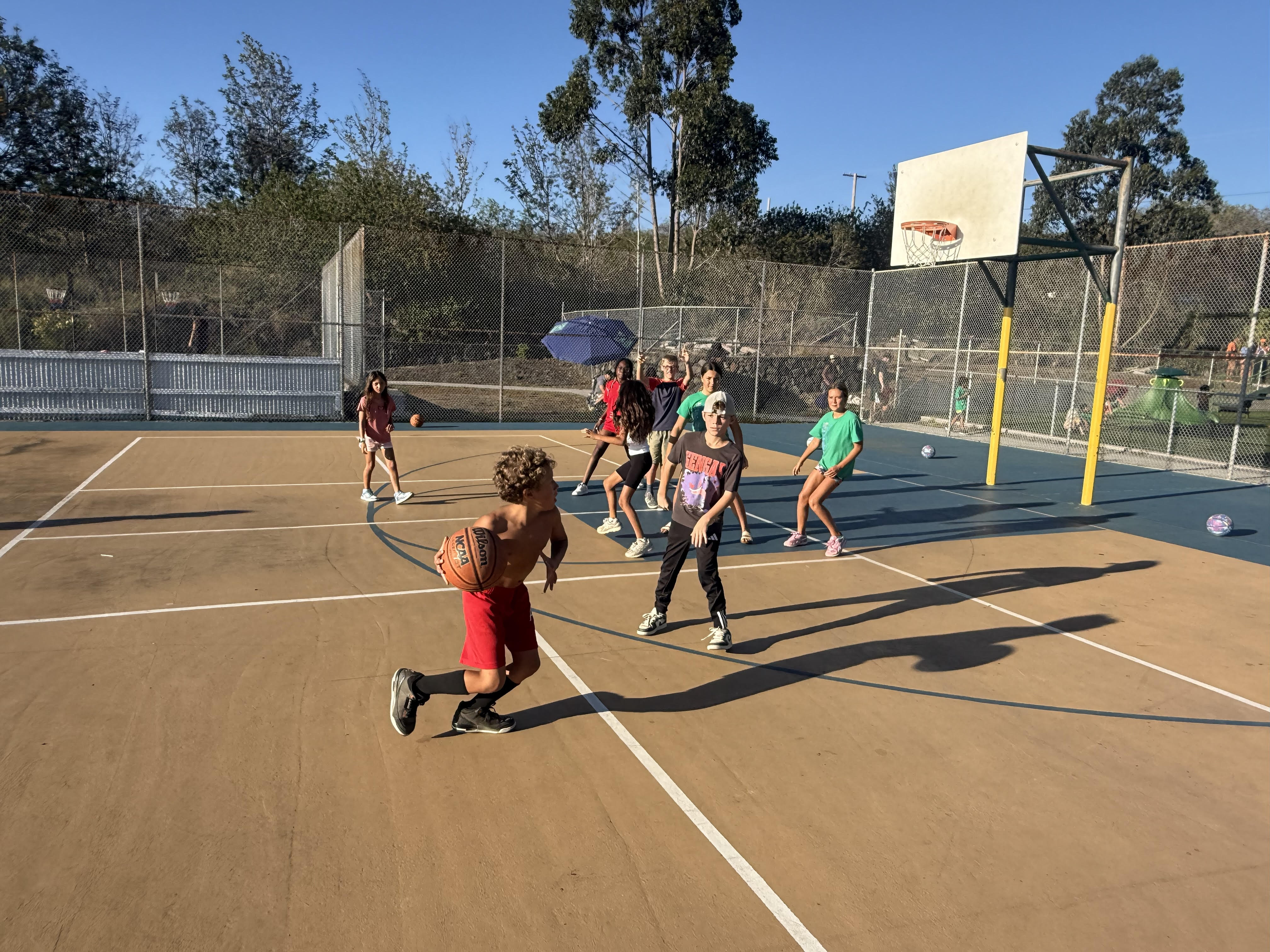 Basketball program