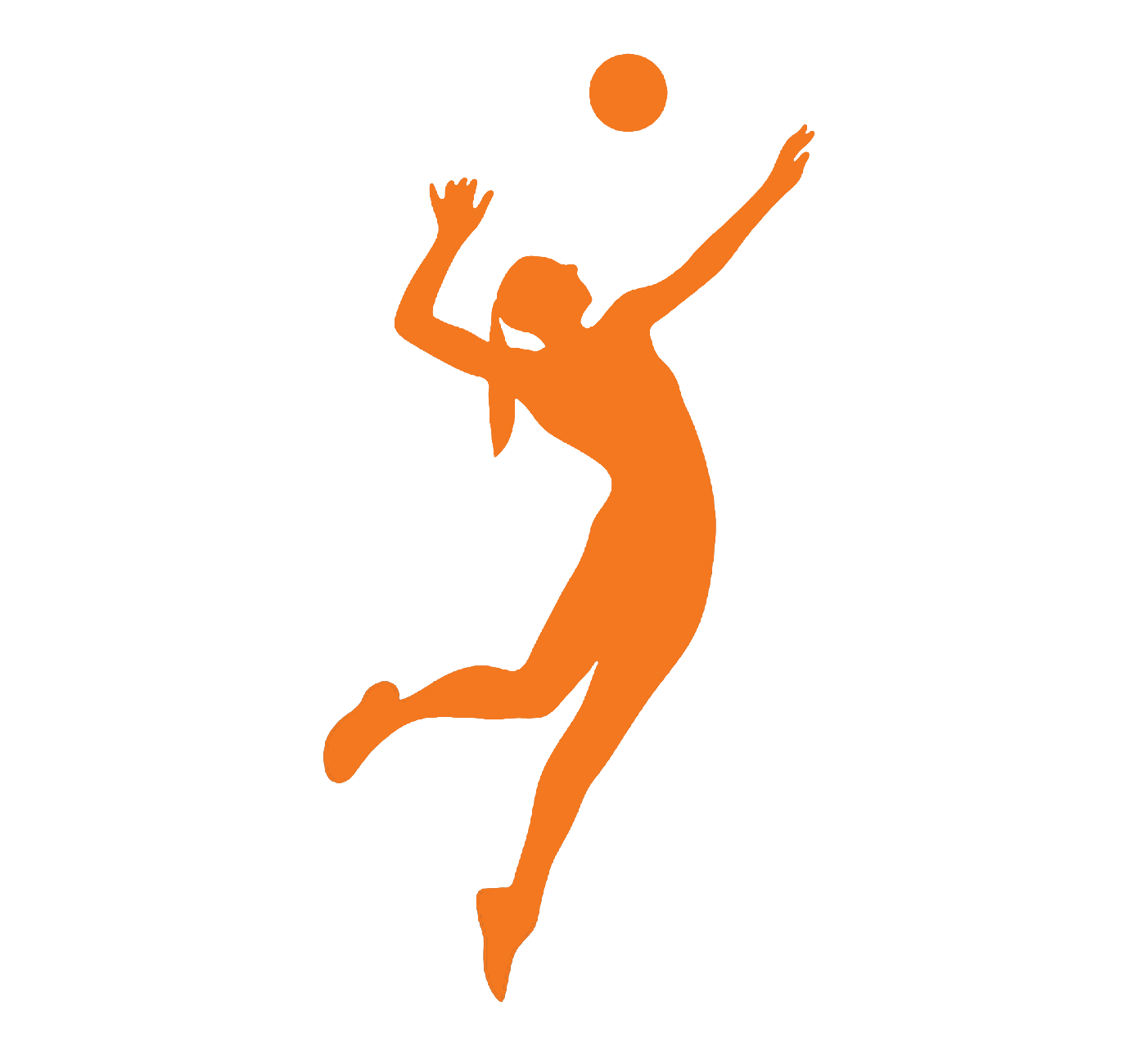 Volleyball program